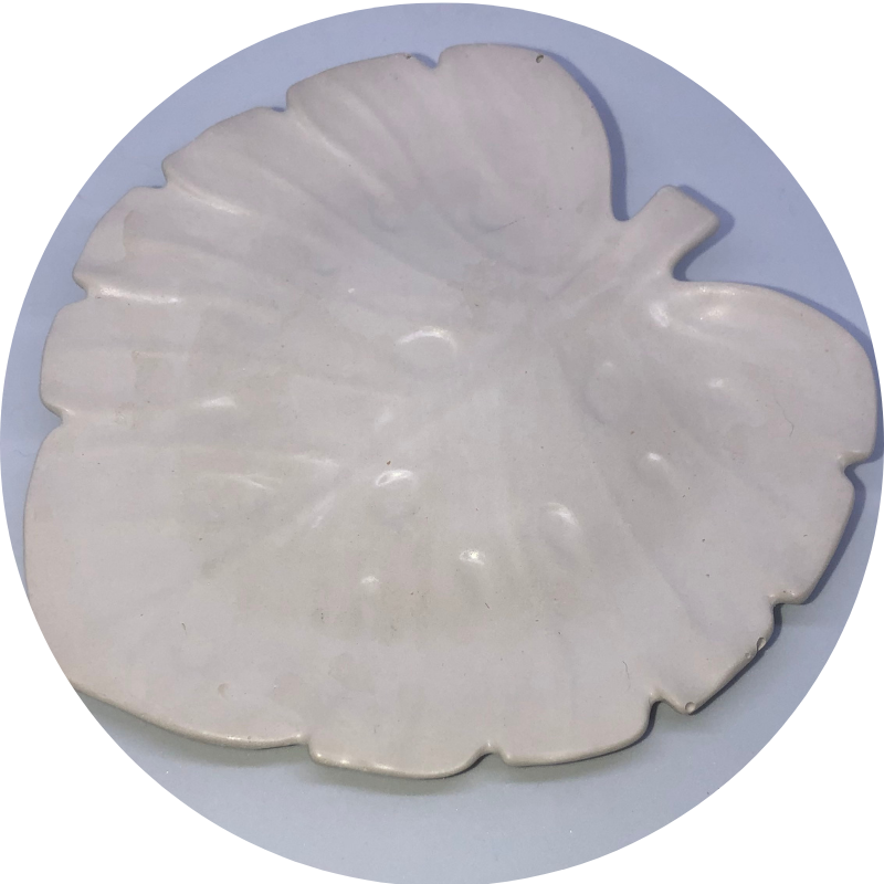 Miska Monstera